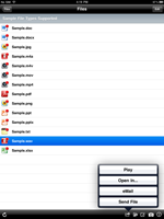 Document sharing on a mobile device