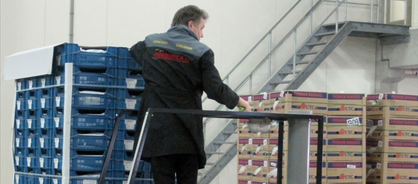 Immediately after unloading, the purchased vegetables are assessed on a range of quality characteristics